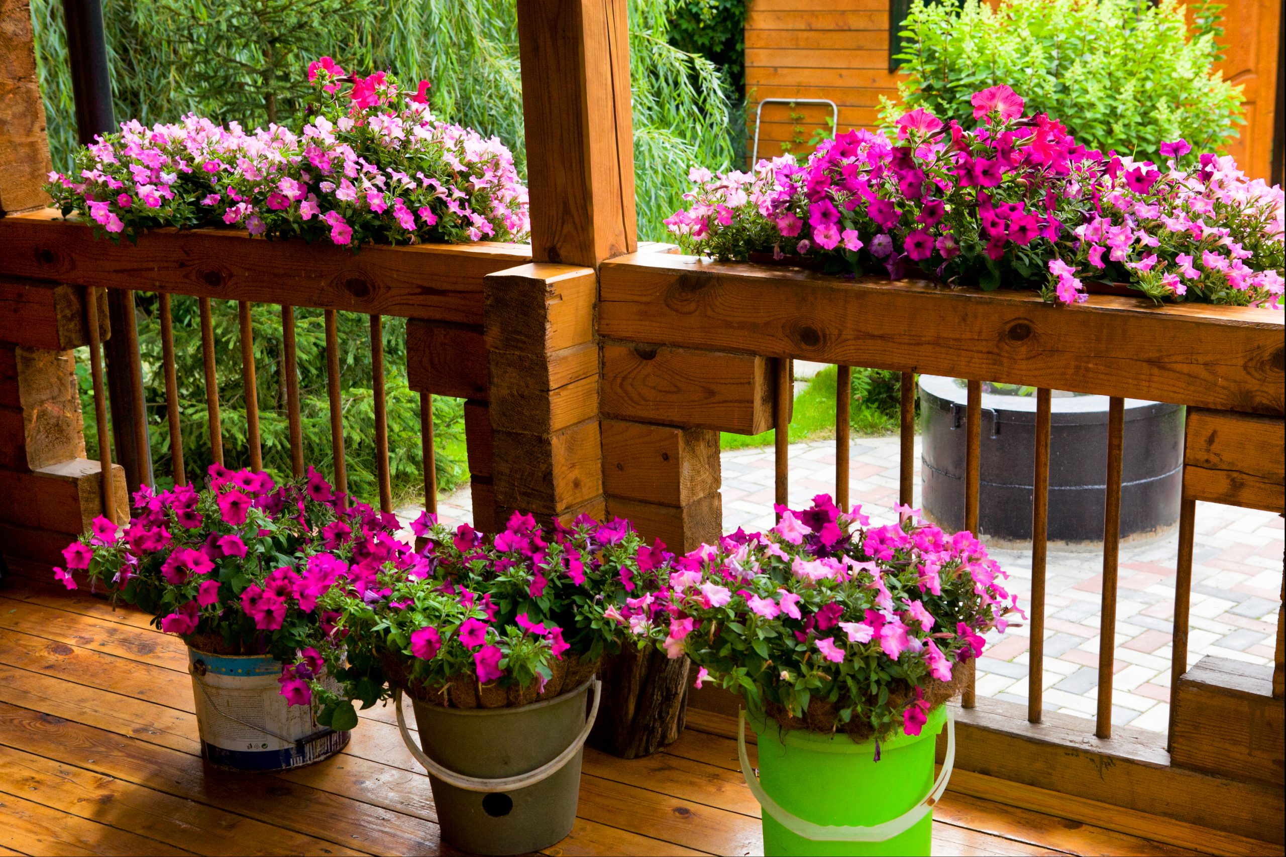 gorgeous pink flowers make great front porch decor ideas