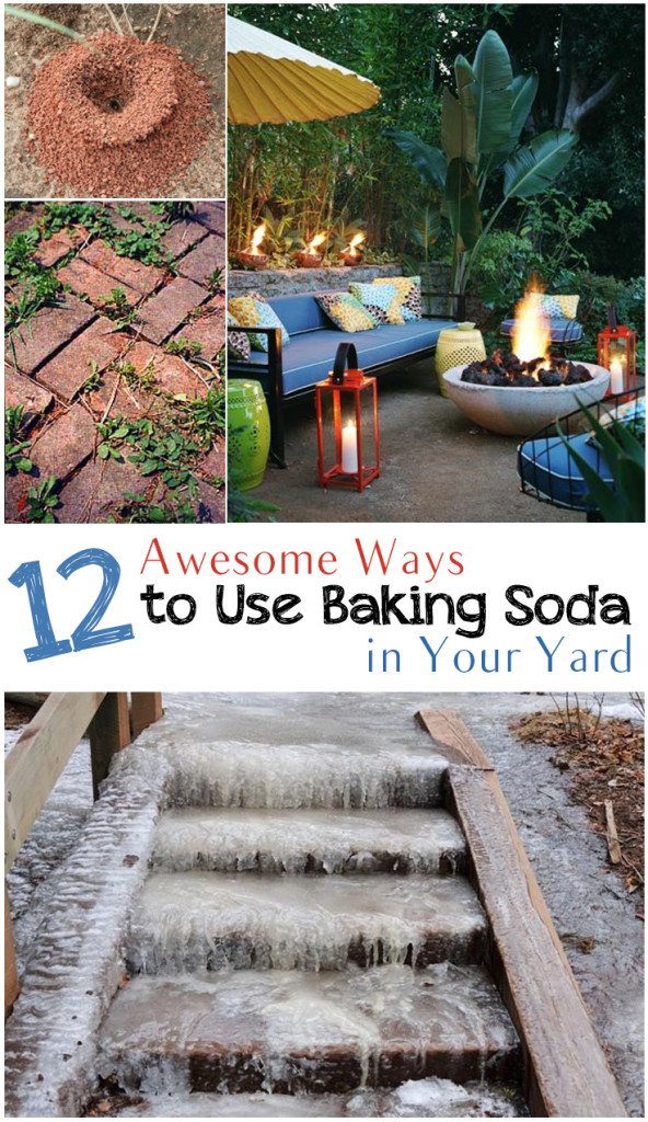 Baking soda garden hacks, baking soda hacks, popular pin, gardening, gardening hacks, baking soda, uses for baking soda, outdoor living, outdoor hacks.