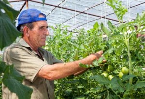 25 Brilliant Gardening Tips And Tricks Picky Stitch