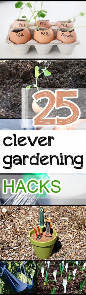 25 Clever Gardening Hacks 