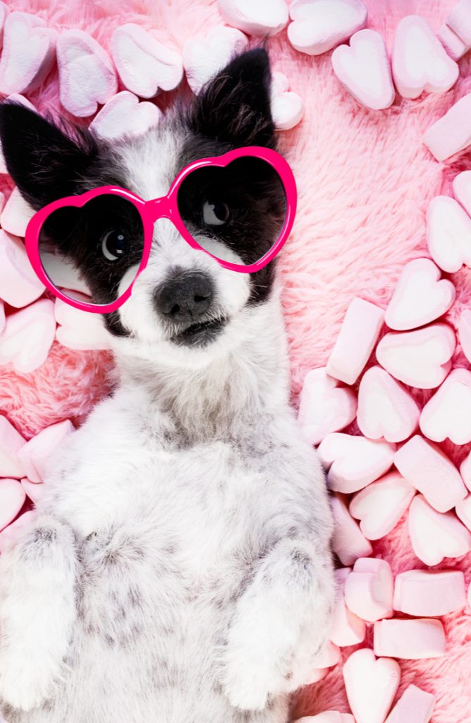 valentines day prestos