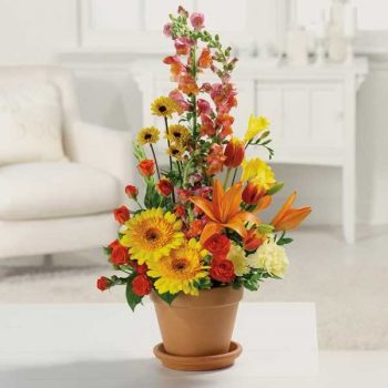 13 Must-Know Flower Arrangement Tips13