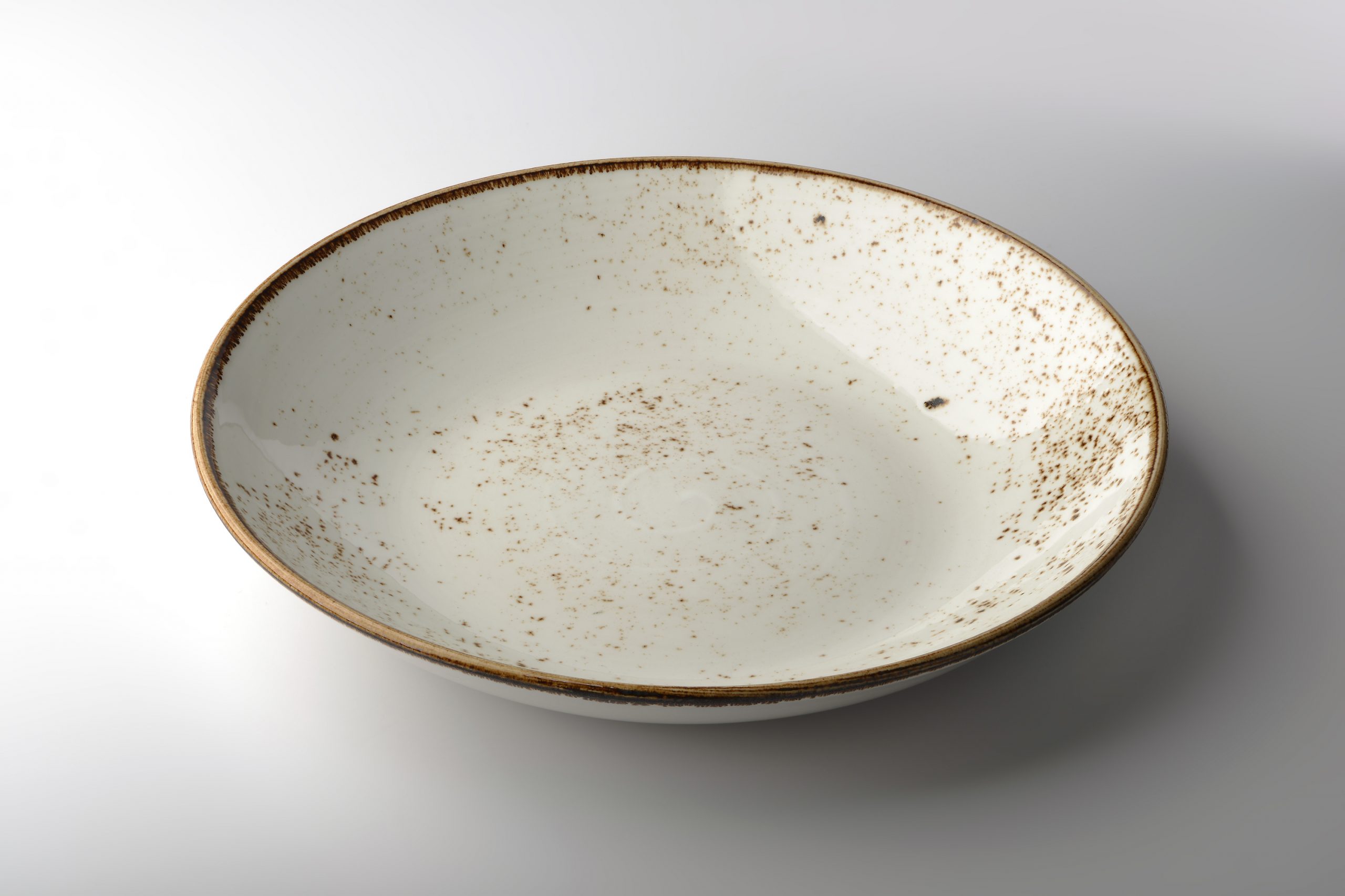 A beautiful dinner plate speckled with brown paint that is lead free. Painting plain white dishes is an easy way to beautify your home because it adds color and character.