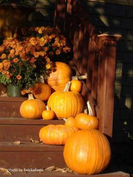 19-ways-to-make-your-neighbors-jealous-of-your-fall-porch4