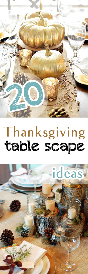 20 Thanksgiving Table Scape Ideas • Picky Stitch