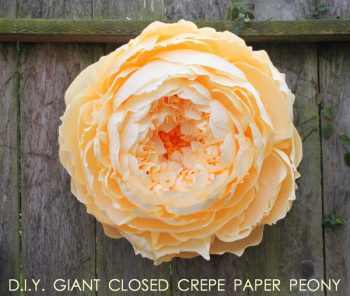 Give The Gift Of Never-Dying Flowers {12 Paper Flower Tutorials} - Paper Flower Crafts, How to Make Paper Flowers, DIY Crafts, Craft Ideas, Easy to Make Crafts, Quick Craft Projects, Fun Gift Ideas