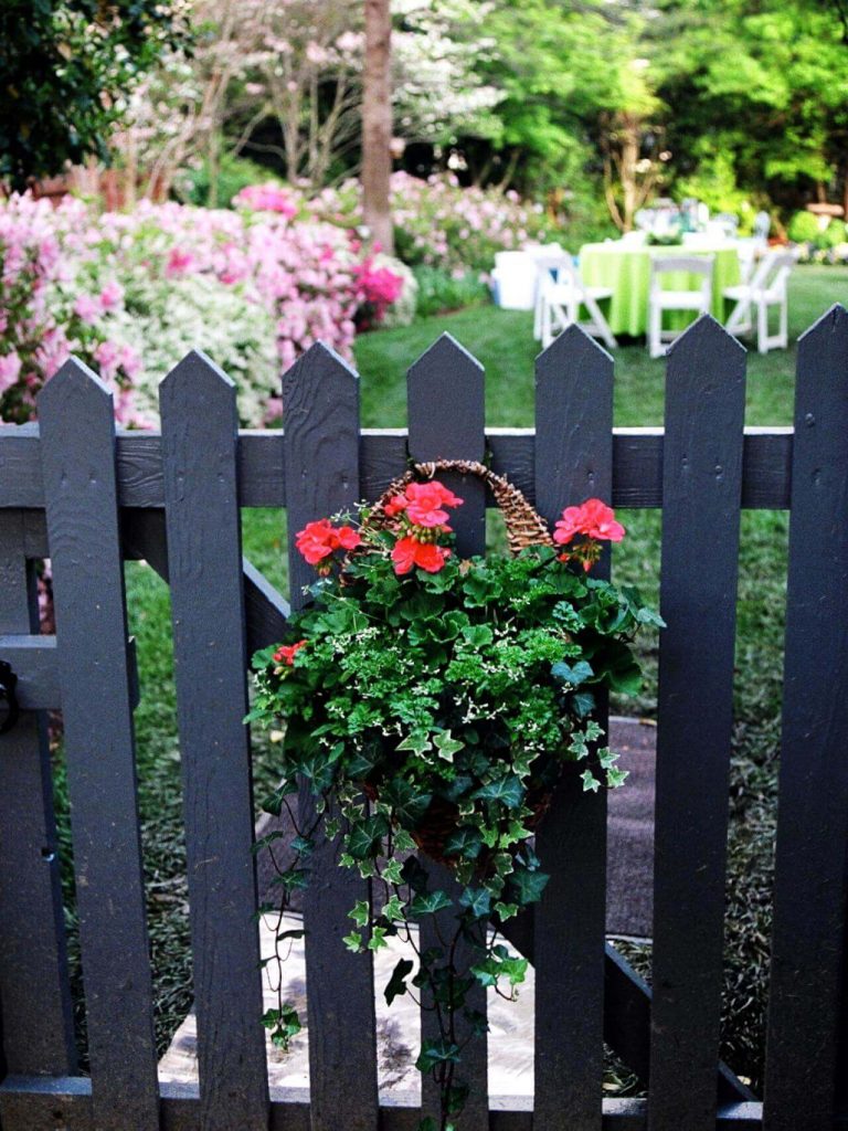 10 Hanging Baskets for the 4th of July| Hanging Baskets, Holiday Hanging Baskets, 4th of July Hanging Baskets, Outdoor Hanging Baskets, Container Gardening, DIY Outdoor Hanging Baskets, Summer, Summer Holiday, Popular Pin