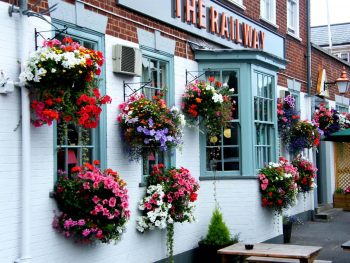 10 Hanging Baskets for the 4th of July9