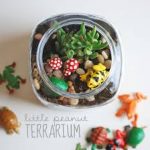 12 Simple DIY Terrariums| DIY Terrarium Projects, How to Make Your Own Terrarium, Indoor Gardening, Terrarium Designs, Unique Terrarium Designs, DIY Home, DIY Home Decor, Container Gardening, Popular Pin