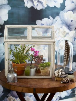 12 Simple DIY Terrariums| DIY Terrarium Projects, How to Make Your Own Terrarium, Indoor Gardening, Terrarium Designs, Unique Terrarium Designs, DIY Home, DIY Home Decor, Container Gardening, Popular Pin