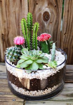 12 Simple DIY Terrariums| DIY Terrarium Projects, How to Make Your Own Terrarium, Indoor Gardening, Terrarium Designs, Unique Terrarium Designs, DIY Home, DIY Home Decor, Container Gardening, Popular Pin