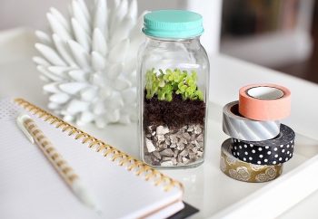 12 Simple DIY Terrariums| DIY Terrarium Projects, How to Make Your Own Terrarium, Indoor Gardening, Terrarium Designs, Unique Terrarium Designs, DIY Home, DIY Home Decor, Container Gardening, Popular Pin