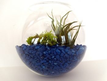 12 Simple DIY Terrariums| DIY Terrarium Projects, How to Make Your Own Terrarium, Indoor Gardening, Terrarium Designs, Unique Terrarium Designs, DIY Home, DIY Home Decor, Container Gardening, Popular Pin