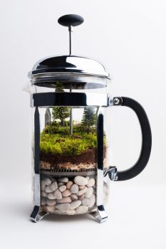 12 Simple DIY Terrariums| DIY Terrarium Projects, How to Make Your Own Terrarium, Indoor Gardening, Terrarium Designs, Unique Terrarium Designs, DIY Home, DIY Home Decor, Container Gardening, Popular Pin