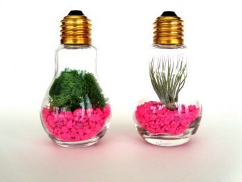 12 Simple DIY Terrariums| DIY Terrarium Projects, How to Make Your Own Terrarium, Indoor Gardening, Terrarium Designs, Unique Terrarium Designs, DIY Home, DIY Home Decor, Container Gardening, Popular Pin