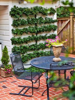Inexpensive Backyard DIY Projects, Outdoor Projects, Backyard DIY, Cheap Backyard Upgrades, Backyard Projects, Backyard DIY Projects, Outdoor Remodeling Tips and Tricks, Patio Decor, DIY Patio Decor, Yard and Landscaping