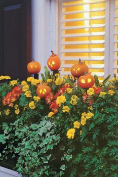 Fall Curb Appeal, Fall Curb, Fall Porch Decor, DIY Fall Porch Decor, Fall Porch Decor Ideas, Curb Appeal Projects, DIY Curb Appeal Projects, Fast Curb Appeal Projects, Cheap Curb Appeal