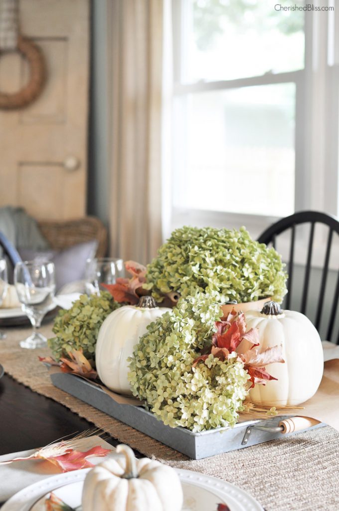 Learn How to Whitewash A Pumpkin • Picky Stitch