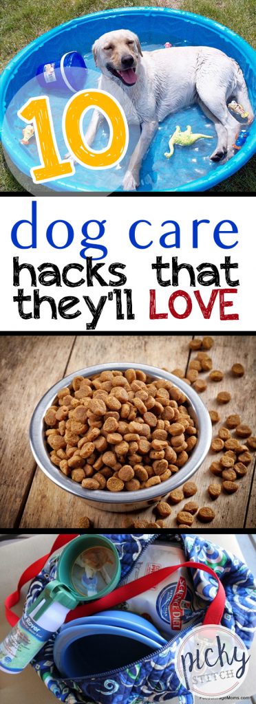 10 Dog Care Hacks That They’ll LOVE|Dog Care, Dog Care Hacks, Pet Care, Pet Care Hacks, Easy Pet Care, Pet Care TIps and Tricks #DogCare #PetCare #LifeHacks #Hacks