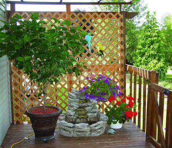 10 Lightning Fast Ways to Create Backyard Privacy| Backyard Privacy, Backyard Privacy Ideas, Backyard Privacy Landscape, Backyard Privacy Fence, Outdoor Privacy Ideas, Outdoor Privacy Screen Ideas #BackyardPrivacy #BackyardPrivacyIdeas #BackyardPrivacyLandscape #BackyardPrivacyFence