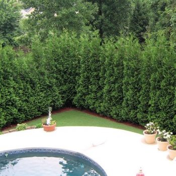 10 Awesome Tips About how much does it cost to landscape backyard From Unlikely Websites