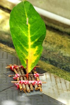 Twigs crafts- raft made from twigs tied with string and a large leaf as the sail