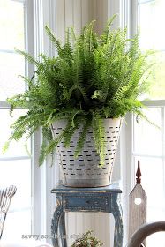 Olive Bucket | Olive Bucket Decor Ideas | Olive Bucket Decorations | DIY Olive Bucket Decor | DIY Olive Bucket Decor Ideas