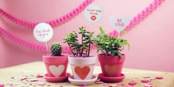 Valentine's Day Crafts | Valentine's Day | Valentine's Day Craft Ideas | DIY Valentine's Day Crafts | DIY Valentine's Day Craft Ideas | Valentine's Craft Ideas