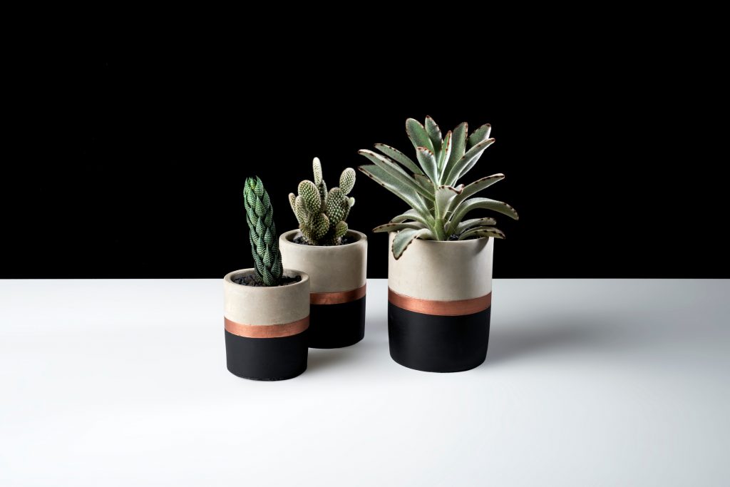 DIY Cement Crafts • Picky Stitch