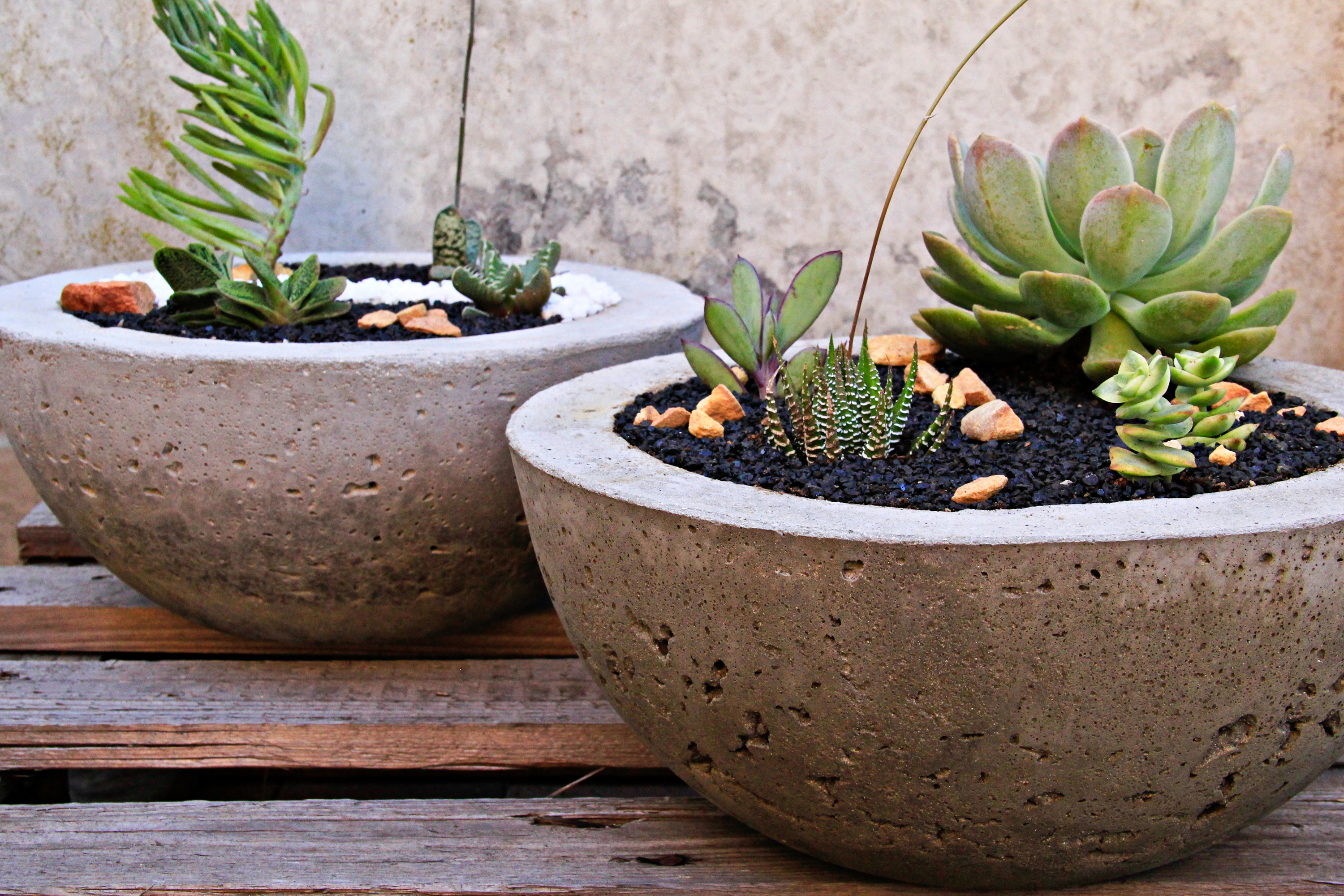 DIY Cement Crafts