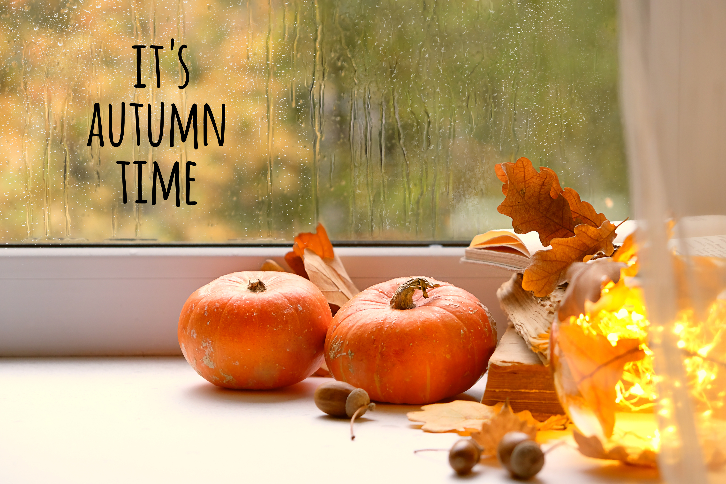 window decor | fall decor | fall window decor | decor | fall | window | fall window | home decor | fall home decor 