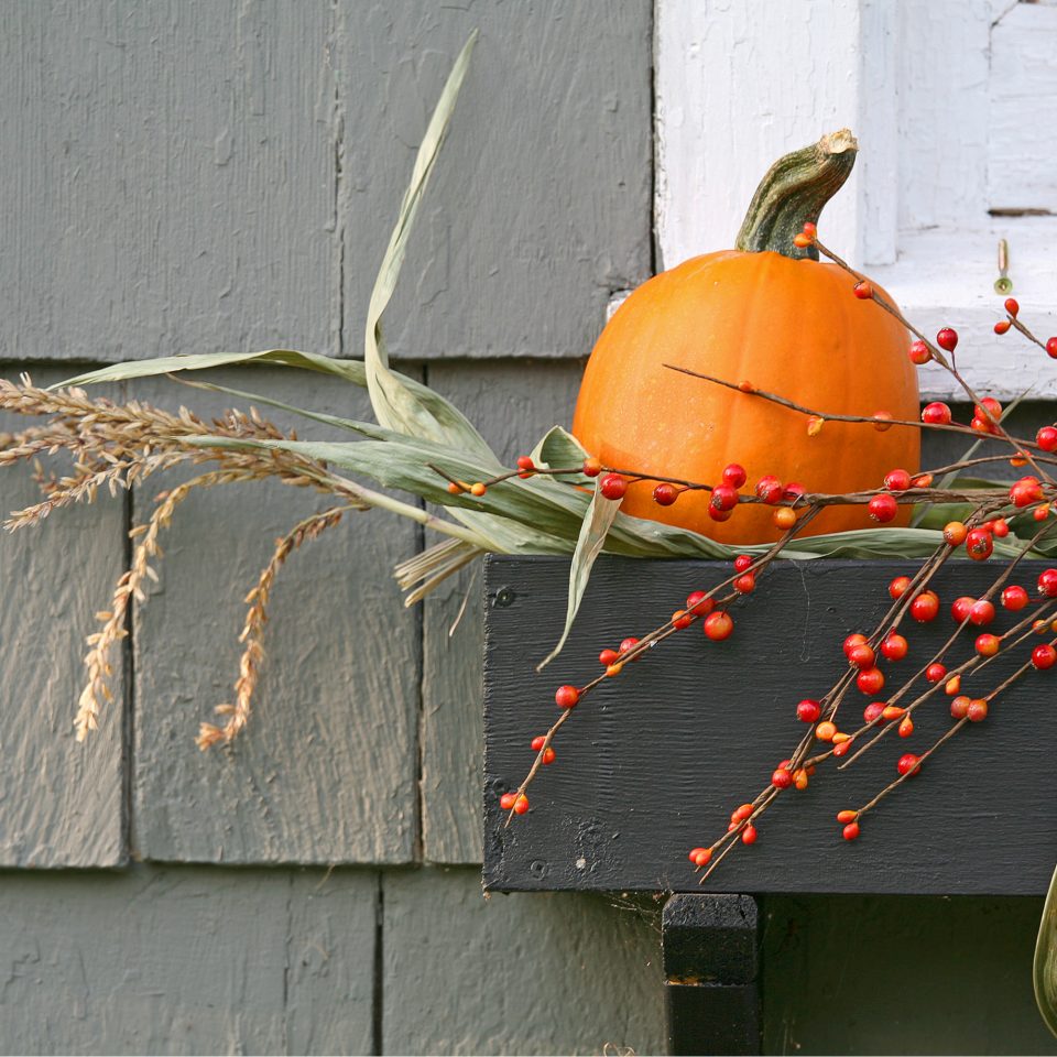 Lush Martha Stewart Planting Fall Window Boxes Design Digital Art Lush Martha Stewart Planting Fall Window Boxes Design Digital Art
