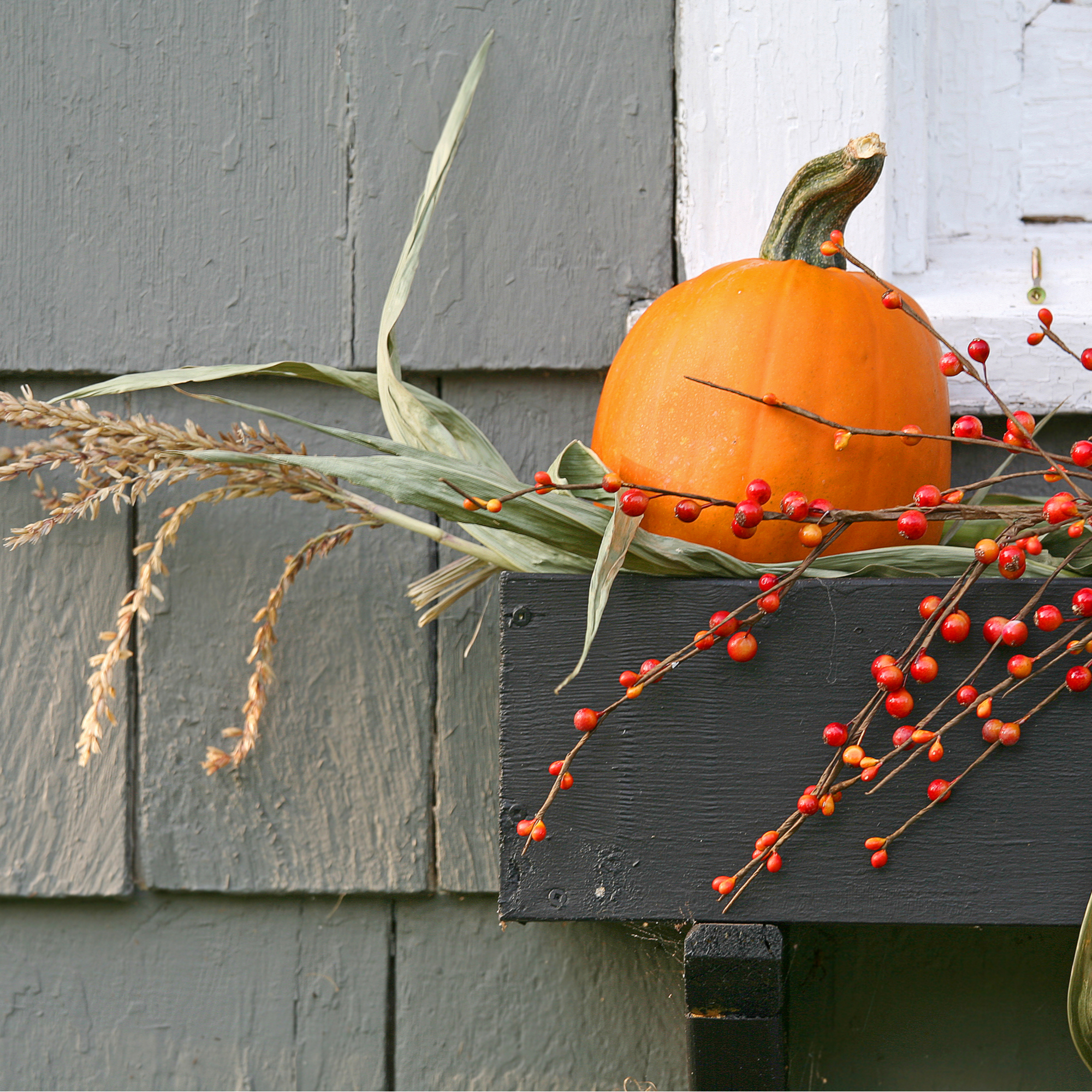 window decor | fall decor | fall window decor | decor | fall | window | fall window | home decor | fall home decor 